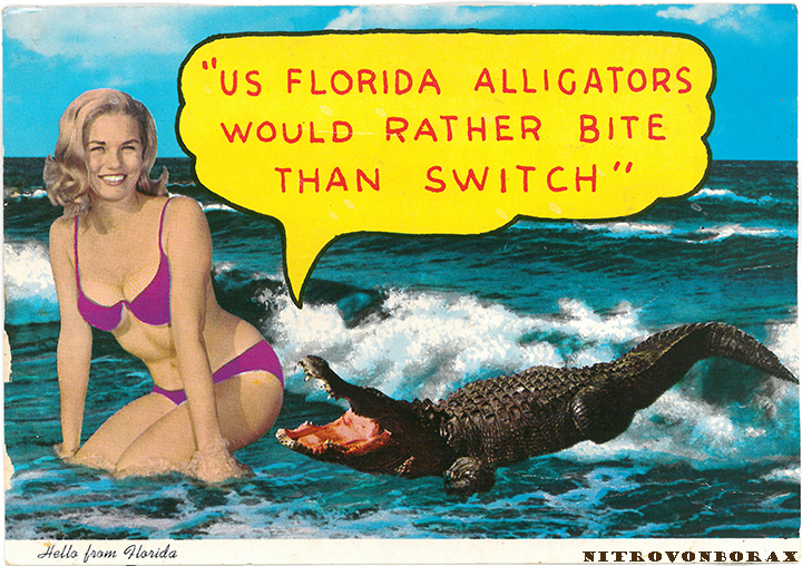 us-florida-alligators